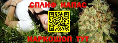 дмт Ливны