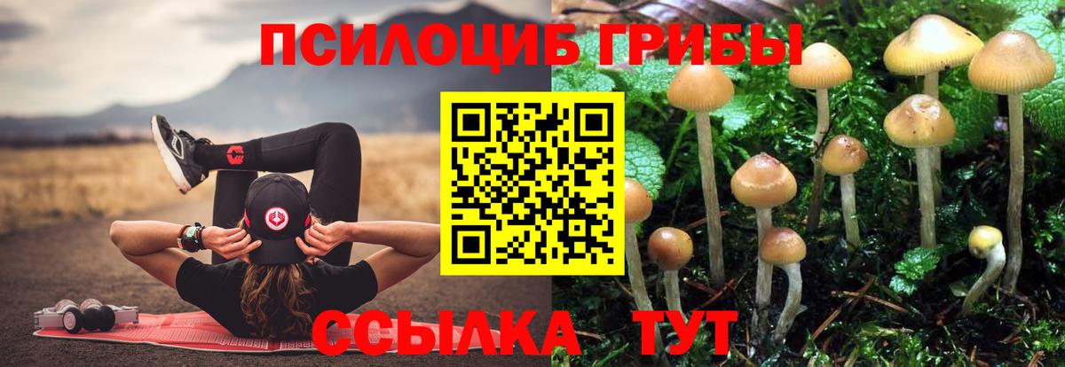 Галлюциногенные грибы ЛСД  Псилоцибиновые грибы Psilocybine cubensis  Вход с VPN  Стрежевой 