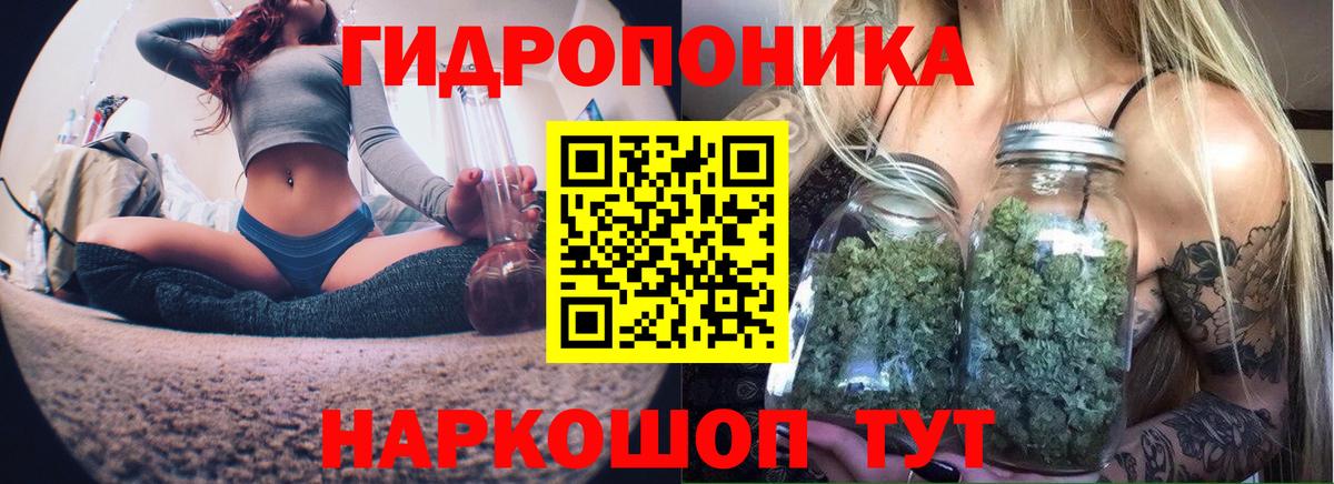 МАРИХУАНА OG Kush  Бошки марихуана VHQ  Вход с VPN  Стрежевой  Марихуана сатива 